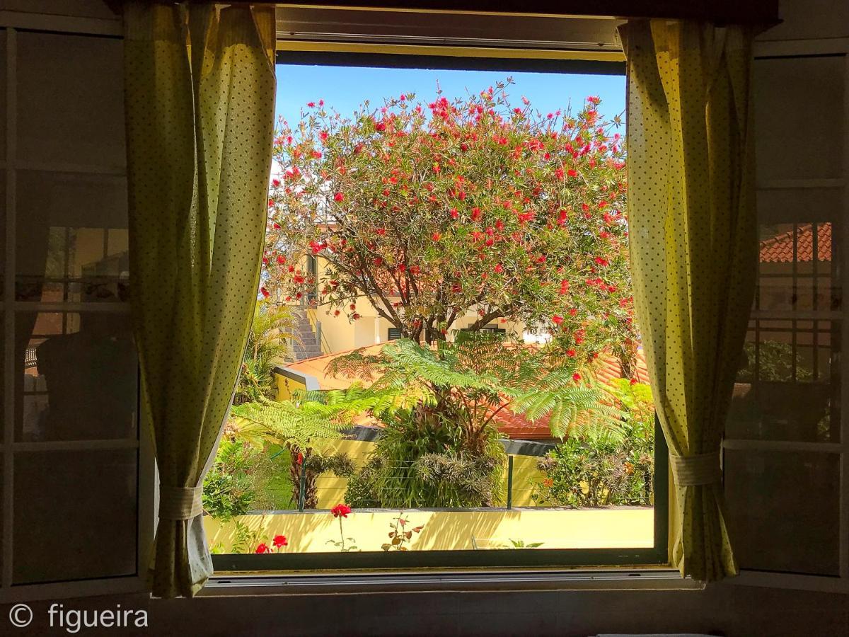 Terra Cha Cottage,feel Home, Holiday home Sao Vicente (Madeira)