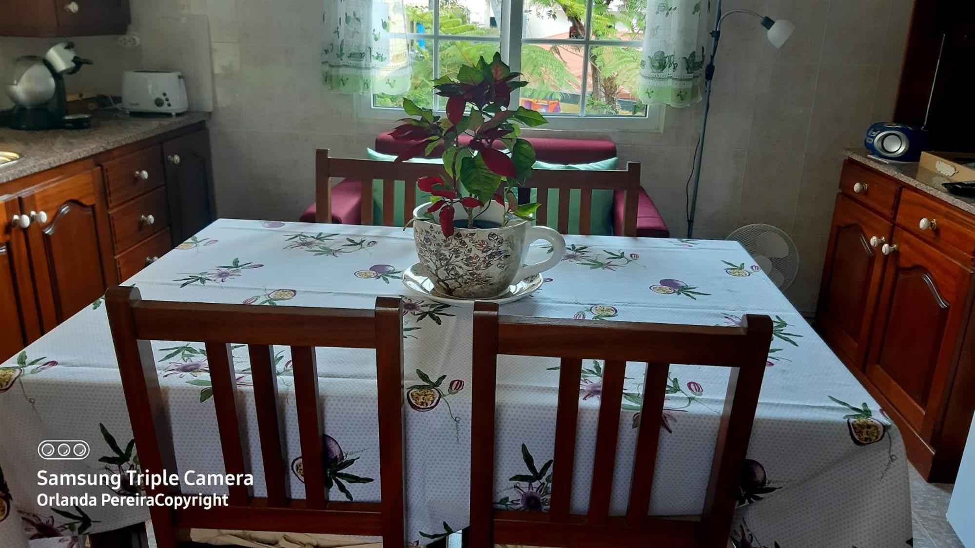 Holiday home Terra Cha Cottage,feel Home, Sao Vicente (Madeira)