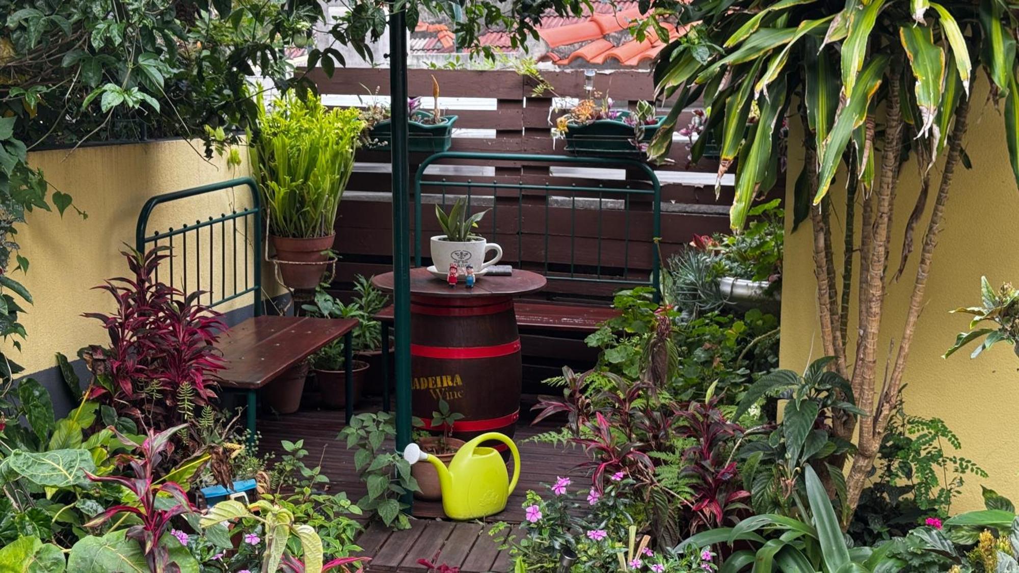 Terra Cha Cottage,feel Home, Holiday home Sao Vicente (Madeira)