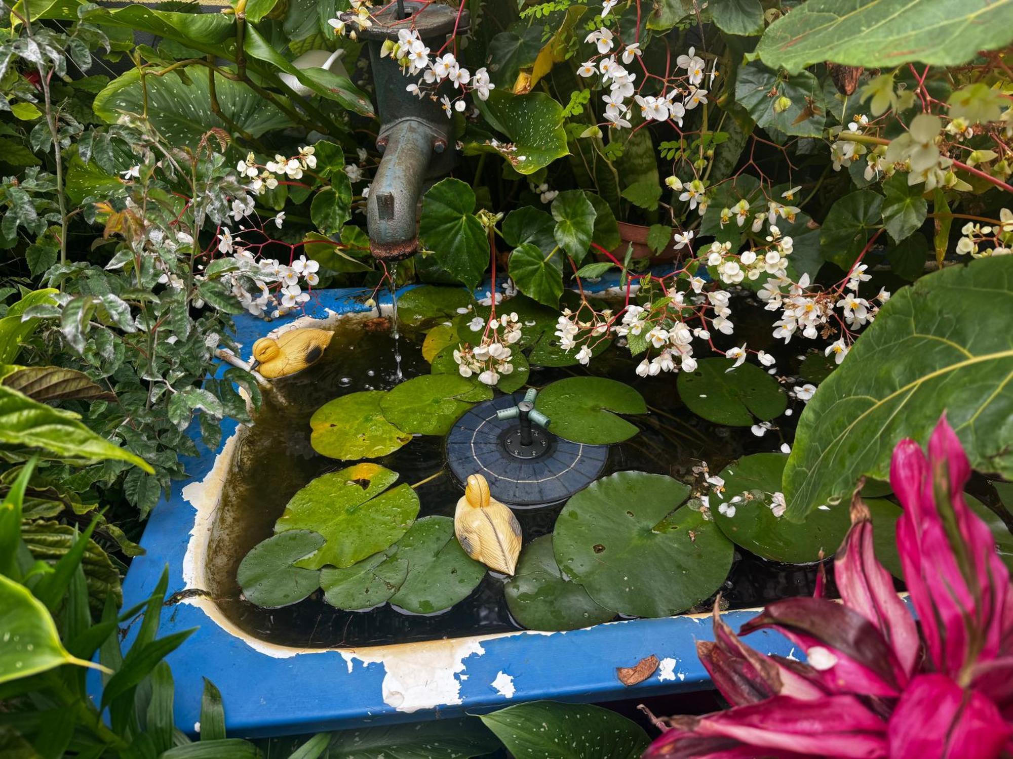 Terra Chã Cottage,feel Home, * São Vicente