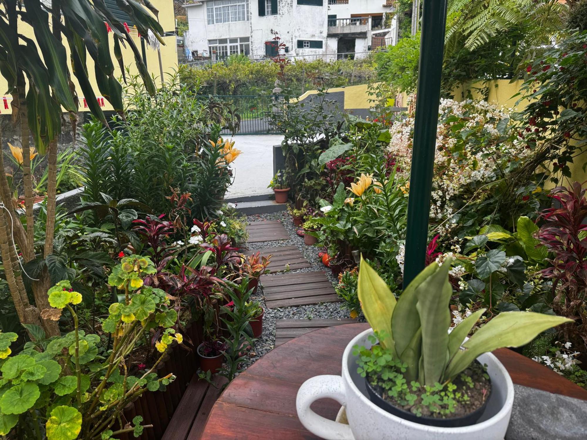 Terra Chã Cottage,feel Home, * São Vicente