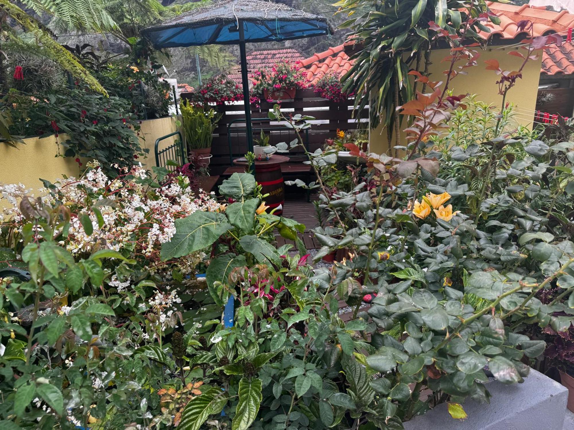 Terra Chã Cottage,feel Home, Casa de Férias